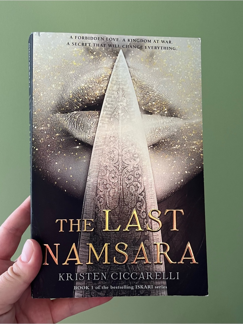 📚 4/25$ 📚 The Last Namsara by Kristen Ciccarelli